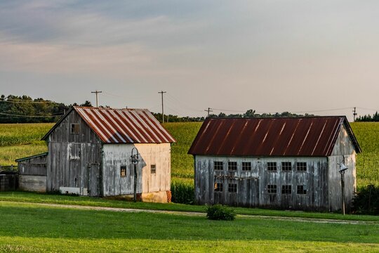 Two Old Barns On A Summer Evening, York County, Pennsylvania, USA