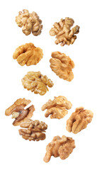 Halves of walnuts falling on white background