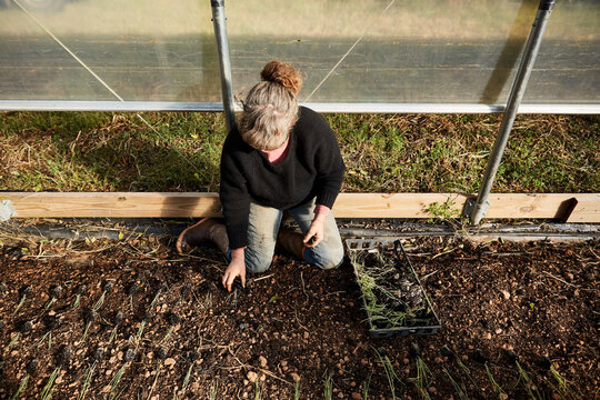 Farmer planting seedlings