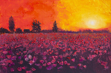 bright tulips at sunset