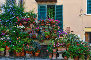Fototapeta na wymiar A collection of potted plants in front of an old house in summer, Tuscany, Italy