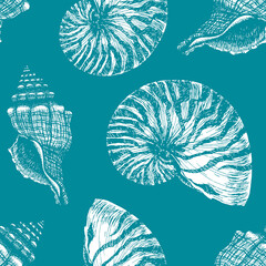 Hand drawn Marine outline seamless pattern. Turquoise Blue Seashell and Nautilus Shell. Underwater animal ink engraving. Sea life vector background for fashion print, textile, wrapping paper