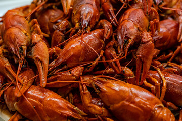Close up of delicious red boiled crawfish/crayfish