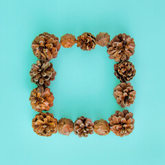 Obraz premium Cone frame. Autumn composition for copy space on a blue background.