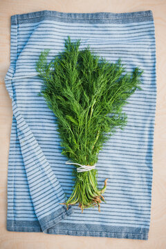 A bunch of fresh home grown dill on the blue cloth