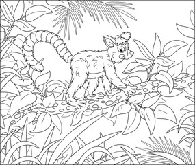 Exotic tropical Madagascar lemur with a very long striped tail walking in thickets of a rainforest, black and white outline vector cartoon illustration for a coloring book page