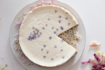 Cheesecake aesthetics 