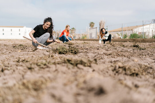 Group of women with hoes working in field