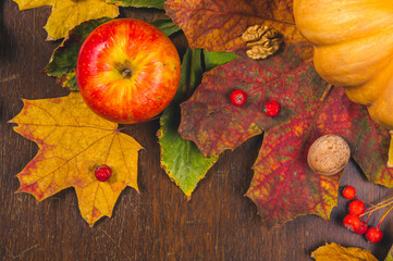 Autumn art composition - varied dried leaves, pumpkins, fruits, rowan berries on wooden background. Autumn, fall, halloween, thanksgiving day concept. Autumn still life.