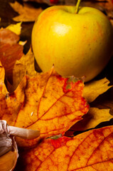 Autumn art composition - varied dried leaves, pumpkins, fruits, rowan berries on wooden background. Autumn, fall, halloween, thanksgiving day concept. Autumn still life.