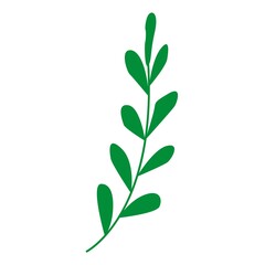 Hand drawn abstract green branch with leaves isolated. Floral element. Cartoon style. Summer, spring or autumn. Nature and ecology. For post cards, posters, social media, textile, prints, wallpaper