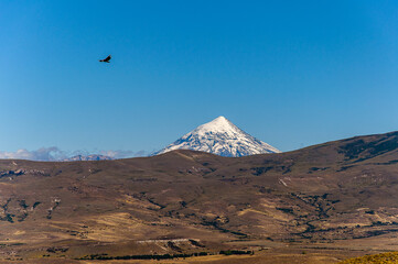 Fototapeta na wymiar Condor and Volcano