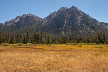 autumn in the mountain