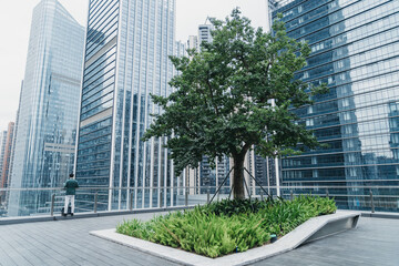 businessman with tree 
