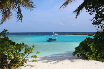 Beautiful scenery frame wallpaper background white sandy beach palms turquoise lagoon Maldives island