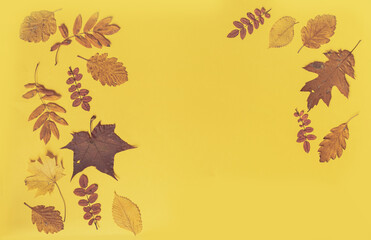 Colorful leaves frame on yellow background with copy space. Halloween or thanksgiving concept.