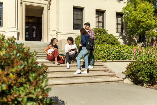 Group of Students Sit on Stairs of Academic Building