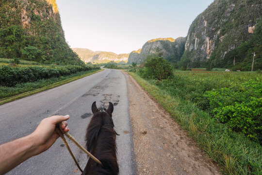 Man riding horse in countryside