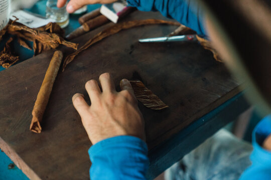 Crop person rolling cigars