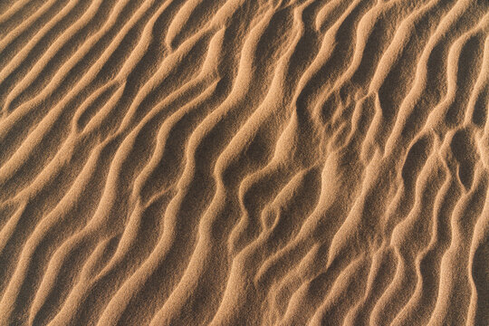 Texture of sand land