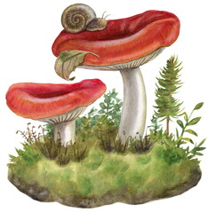 Watercolor botanical illustration, russula mushrooms, snail, leaves, moss. - obrazy, fototapety, plakaty