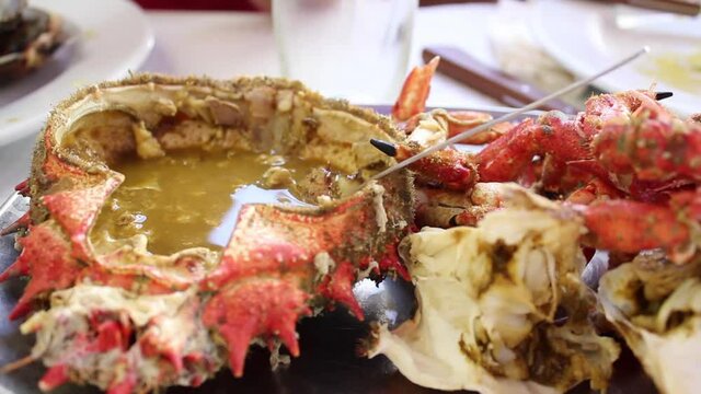 Eating fresh Spider crab