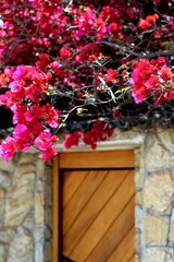 red flowers woody door stone wall