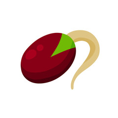 Sprouted beans. Soy grains with roots. Detox and antioxidant. Healthy diet and super food. Flat cartoon illustration isolated on white