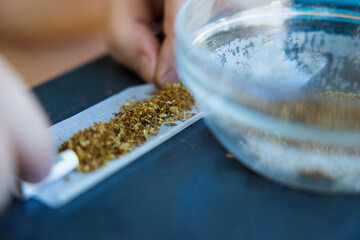 Closeup shot of a person preparing a marijuana blunt with rolling paper and a smoking filter.