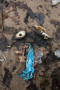 Remains of polyethylene bag and seashell