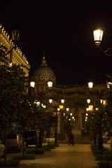 Fototapeta na wymiar Lights of the night city in St. Petersburg