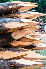 Photograph of some pointed wooden logs stacked and prepared for farm closings.The photo is in vertical format.