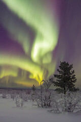 Aurora Borealis in Swedish Lappland
