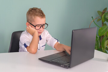 A little boy school student works on a laptop, enjoys using technology in teaching. Use of modern devices for educational purposes