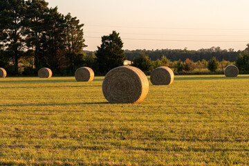 hay bales in the field at golden hour - obrazy, fototapety, plakaty
