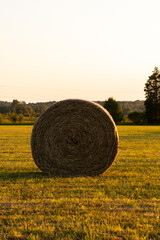 hay bales in the field at golden hour
