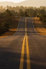 A route with a double yellow line entering a curve. Autumnal colors. Vertical Image