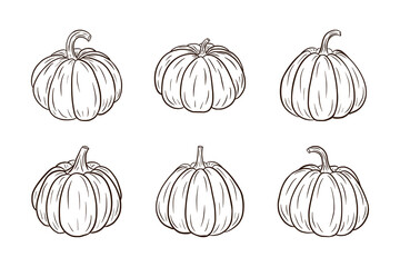 Pumpkin Illustrations Set. Fresh ripe pumpkins Collection for stickers, prints, invitation, menu and greeting cards design and decoration. Premium Vector