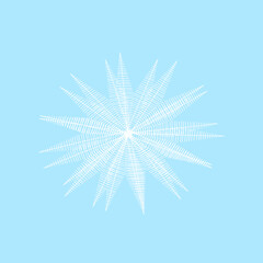 Abstract Christmas New Year blue snowflake on a white background
