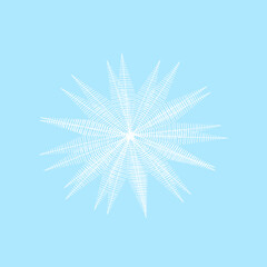 Obraz premium Abstract Christmas New Year blue snowflake on a white background
