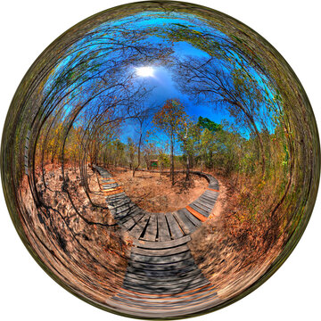 Bosque Petrificado (Puyango - Ecuador)
Petrified wood (Puyango - Ecuador - South America)