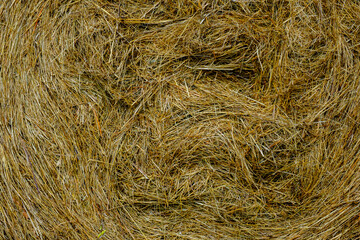 straw bales close up view