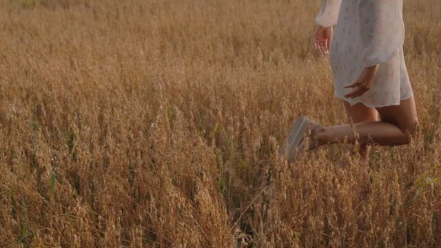 Waist Down Of A Girl In A White Dress Walking Through Wheat Field