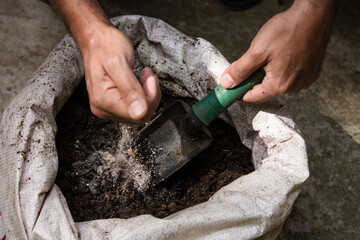 Man's hands mixing soil with compost from eggshells.