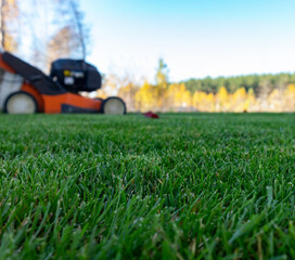 Autumn season, lawn mowing in the garden.