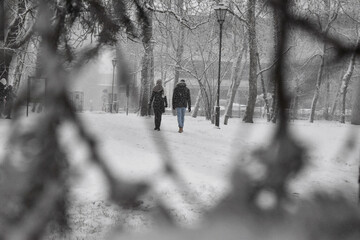 Para idąca zima przez park