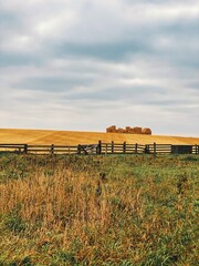 Obraz premium farmer's field on a cloudy day