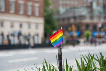 Pride flag in the city