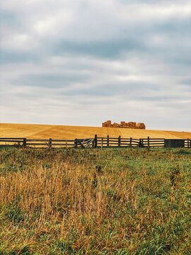 farmer's field on a cloudy day
