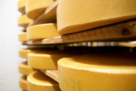 OBERSTAUFEN, GERMANY - 29 DEZ 2019: Cheese dairy warehouse with shelves stacked with rows of cheese